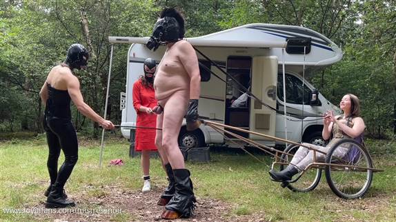 Femdom Ponyplay daughter twerking best malek recommends Femdom Ponyplay