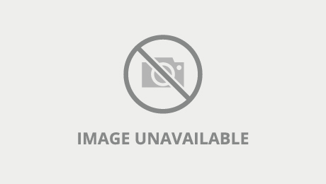 crystal lust new videos black videos crystal lust new videos