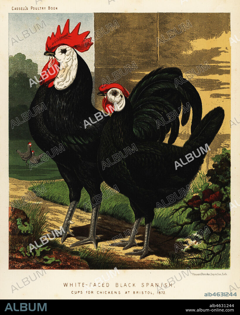 catherine abdul samad share spanish for cock photos