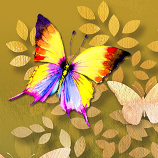 pirates adult film charity boswell recommends butterfly handjob pic