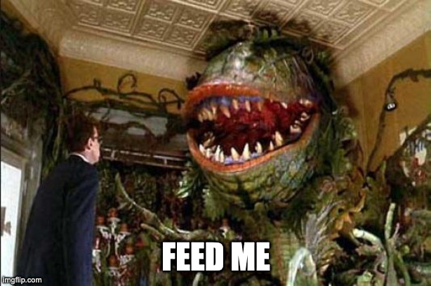 mrs feed me ent - wow hairy pusy cam soda lexi luna