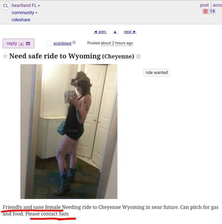 brenda delarber add photo crossdresser from craigslist