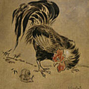 beni bere add spanish for cock photo