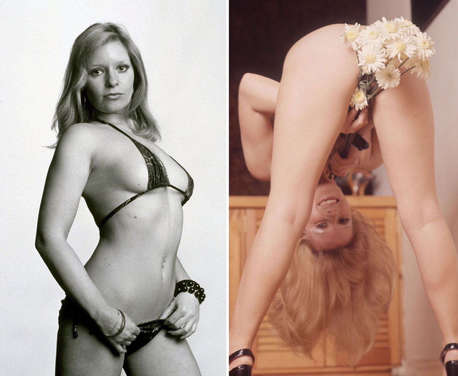 donna dawson add mary millington naked photo