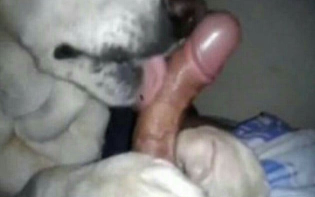 man sucking dick - nude men wrestling videos porn 70 plus