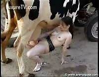 queen of hearts sex scene xxx women