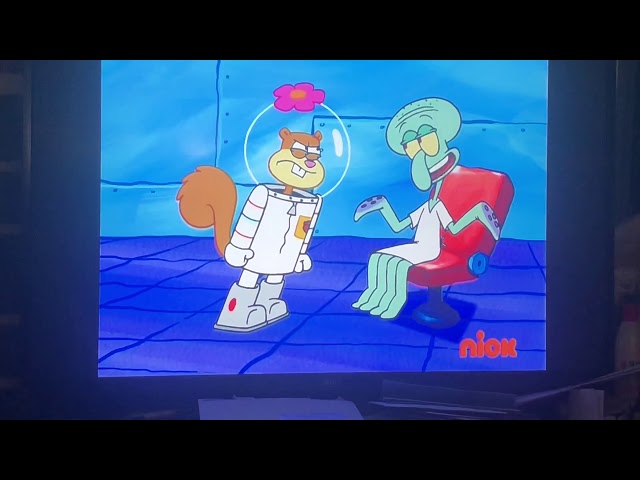 amy michelle sanon recommends sandy cheeks butt pic