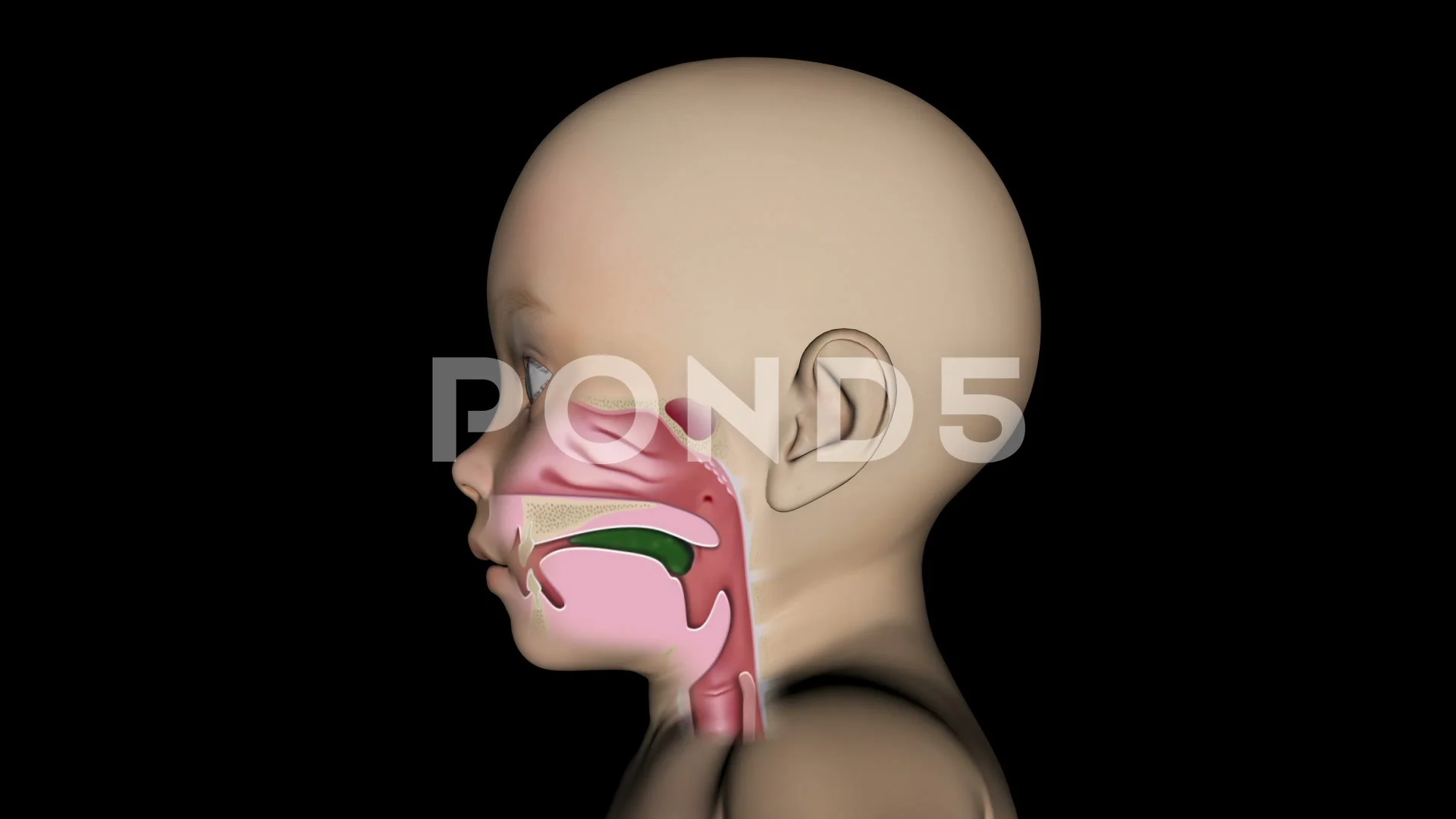 Babes Swallowing diary tube adam cassell recommends Babes Swallowing