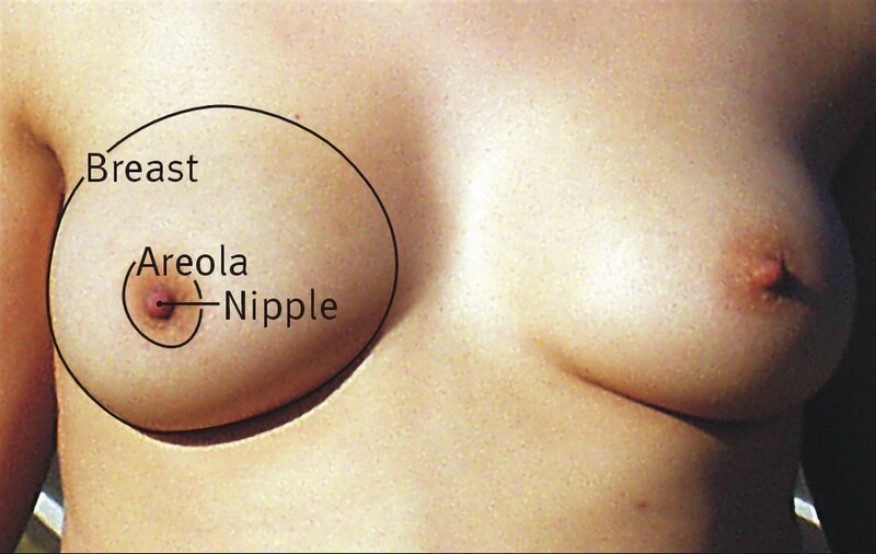 Large Boobs Exposed fbac fedc
