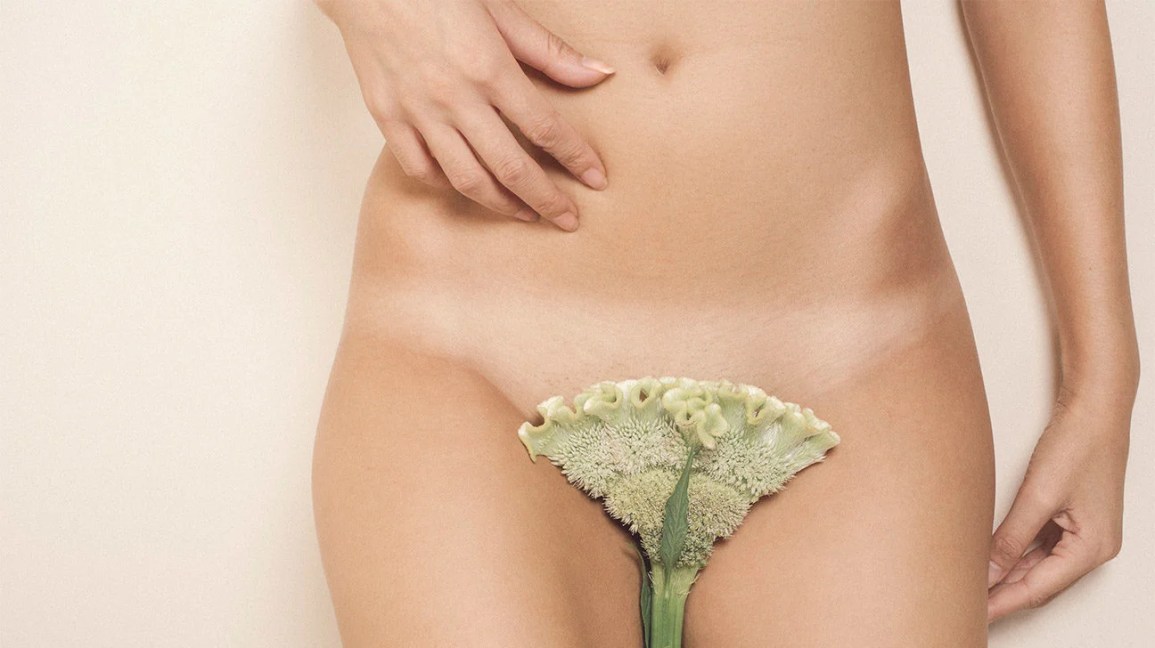 hairy vags casa desnudas hairy vags