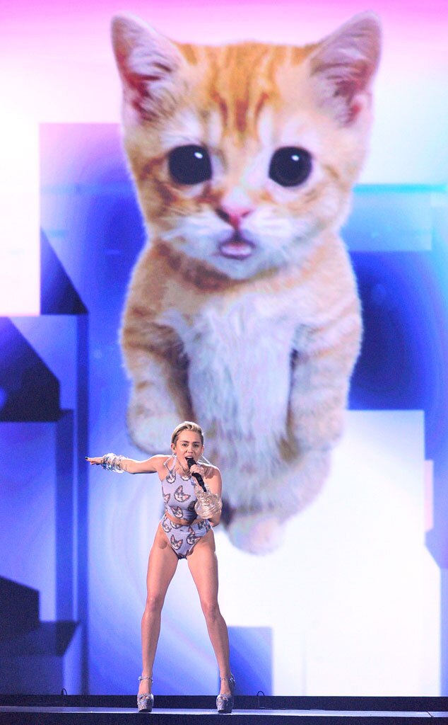 miley kitty - tampa hotwives night vision bj