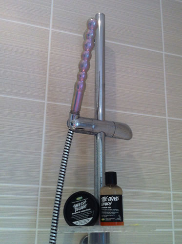 ashlie booker like shower dildo photo chris evinger recommends shower dildo pic